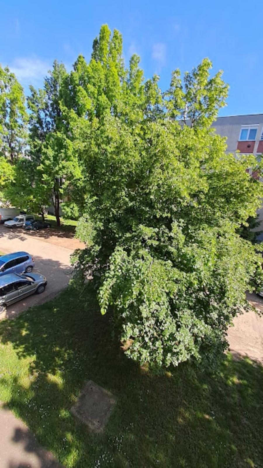 Szilfak City Apartman Hajdúszoboszló Exteriér fotografie